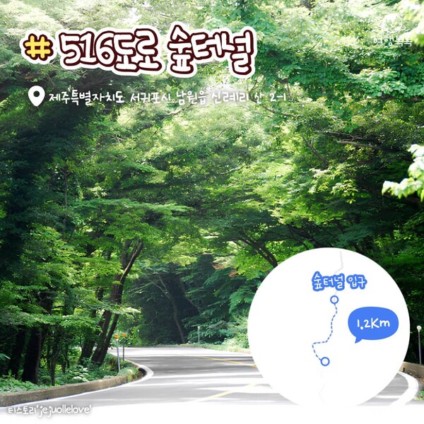 ⓒ여행톡톡