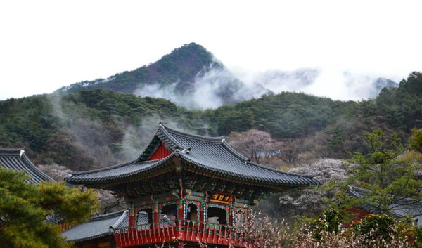 온라인 커뮤니티