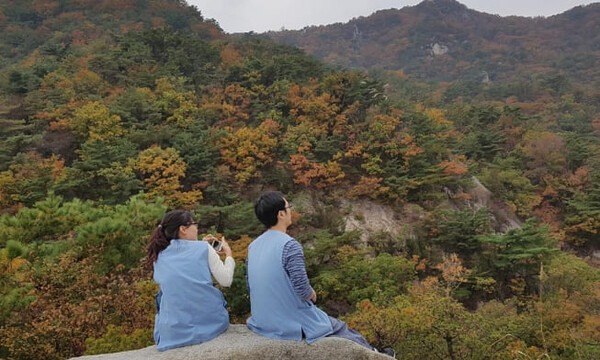 템플스테이 홈페이지