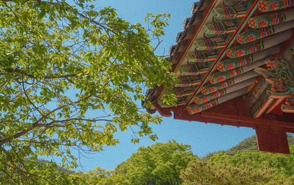 온라인 커뮤니티