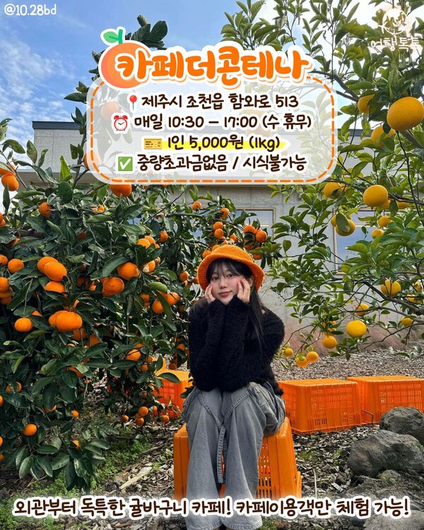 https://cdn.tourtoctoc.com/news/photo/202312/3244_20645_5441.jpg