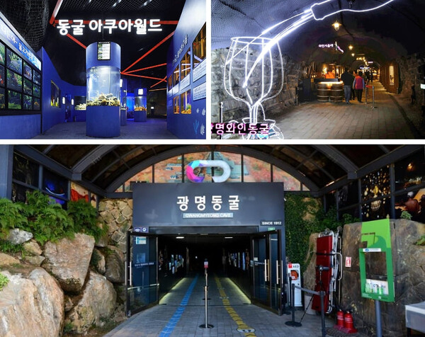 3. 여주곤충박물관 생태 체험 전시 3. 여주곤충박물관 생태 체험 전시