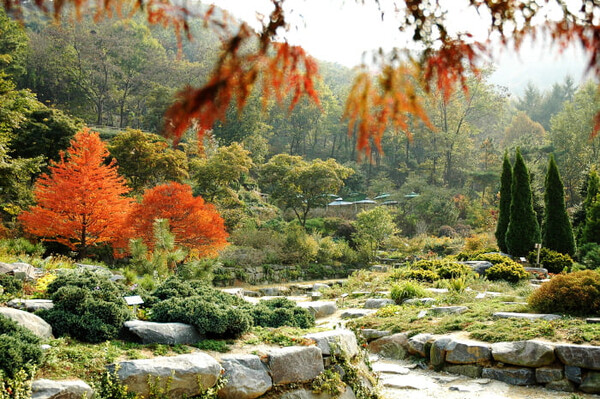 용인 가볼만한 곳 추천 BEST 7 (+숨은 명소)