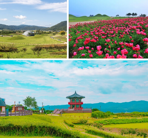 붉은 보석을 가득 품은, 의성 가볼만한 곳 BEST 7 (+경북여행, 산수유마을 포함)