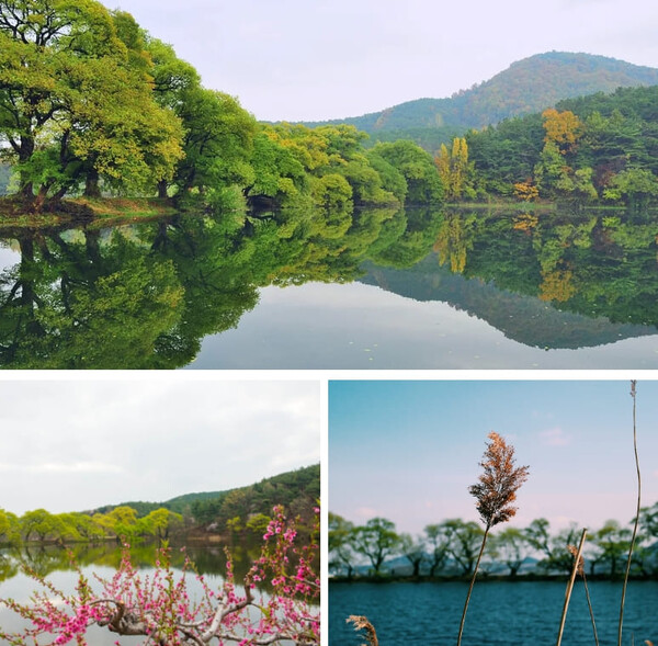 경산 가볼만한 곳 BEST 5 (+여행명소추천, 데이트코스)