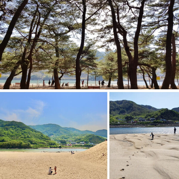 하동 가볼만한 곳 BEST 5 추천 총정리 + 하동 숙소 추천