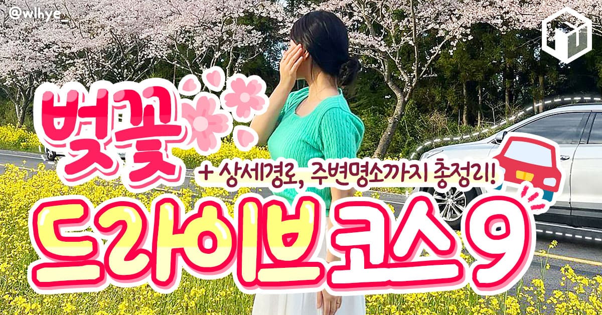 2024 벚꽃 드라이브 명소 코스까지 총정리 (+주변 명소)