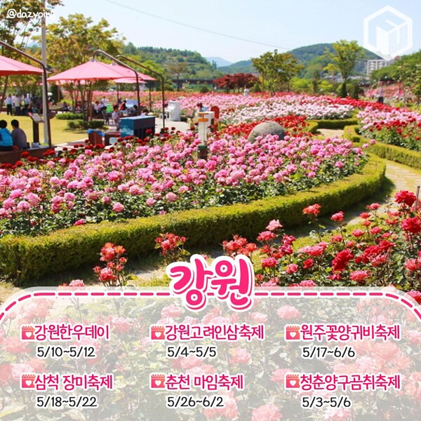 2024 5월 축제 일정 및 하는 곳 총정리 (+대학축제 일정)