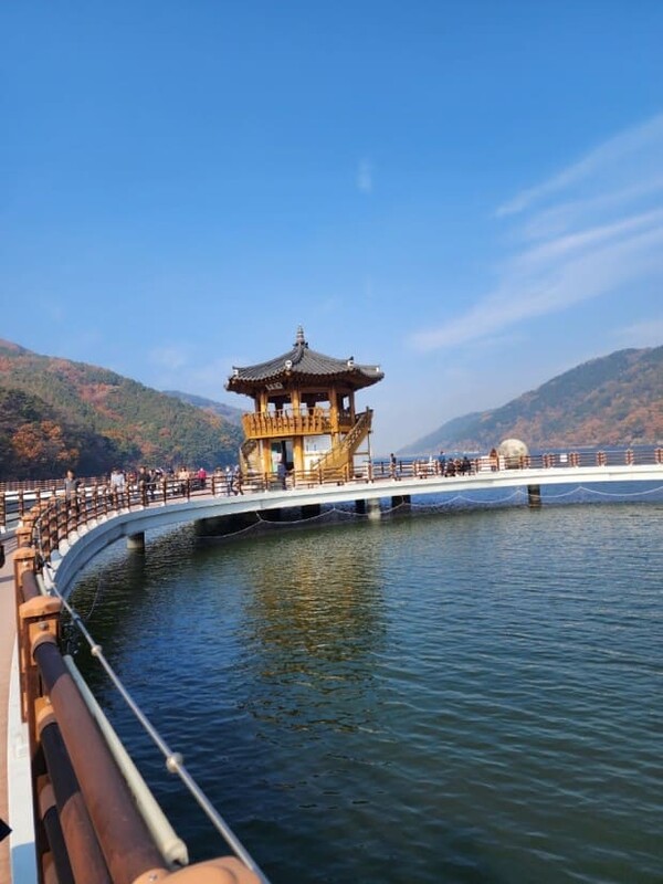 온라인 커뮤니티