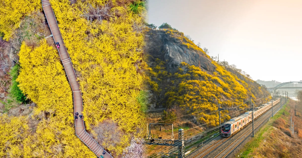 응봉산 전경 2