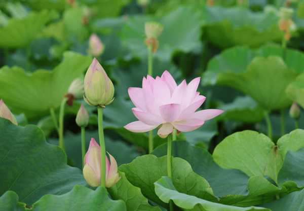 온라인 커뮤니티