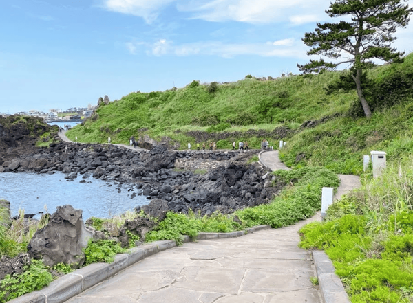 온라인 커뮤니티