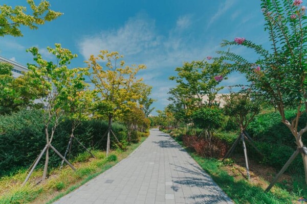 온라인 커뮤니티