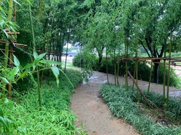 온라인 커뮤니티