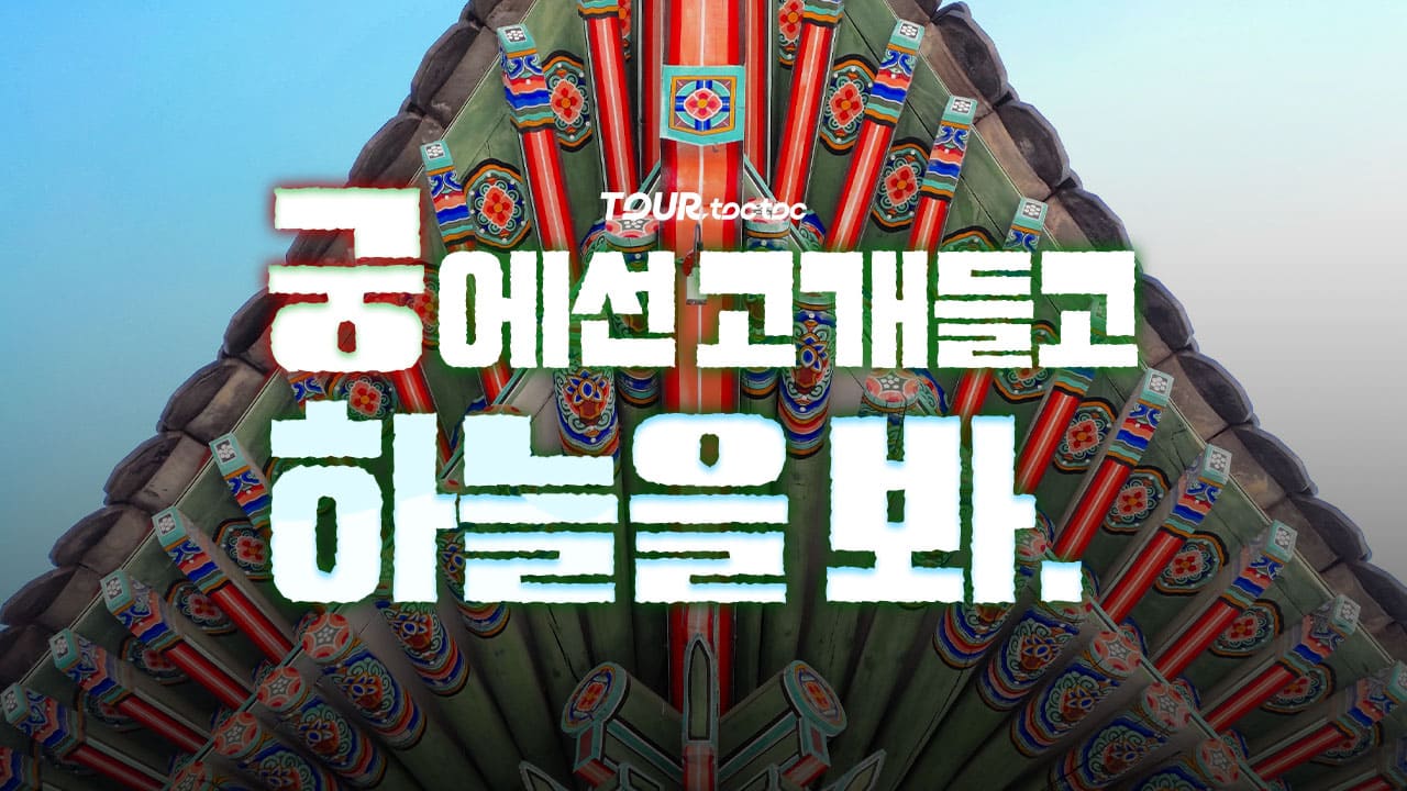 궁궐에선 꼭 하늘을 봐야하는 이유, 고궁 단청 나들이 (사진 10장)
