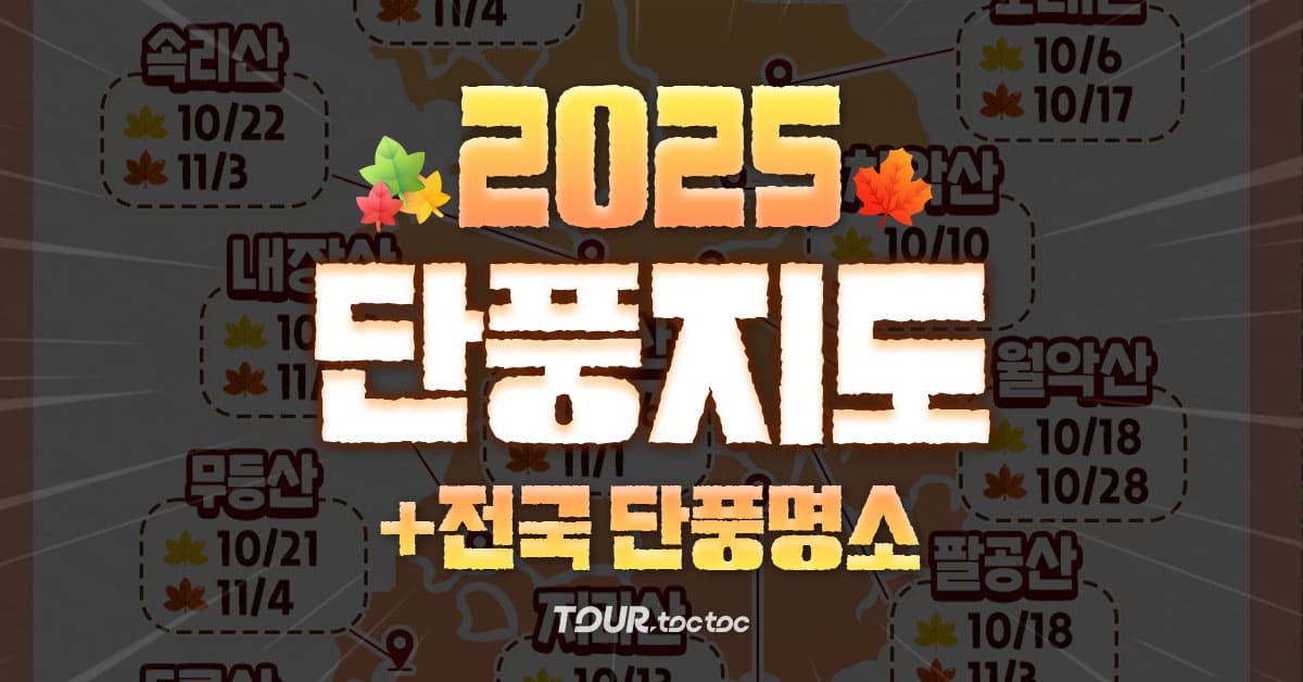 2025 단풍 시기 및 전국 단풍 명소 총정리 (+2025 단풍 지도)