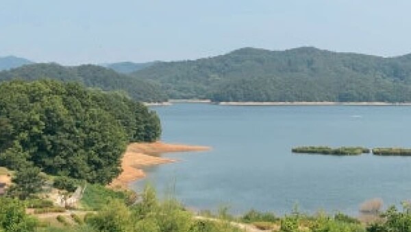 대청호 / 사진=온라인 커뮤니티