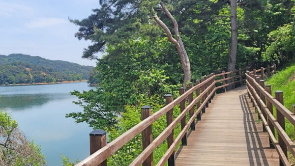 대청호 / 사진=온라인 커뮤니티