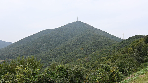 계양산 / 사진= 온라인 커뮤니티