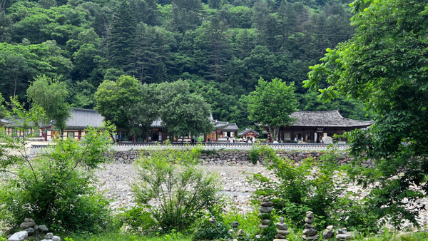 인제 / 사진=온라인 커뮤니티