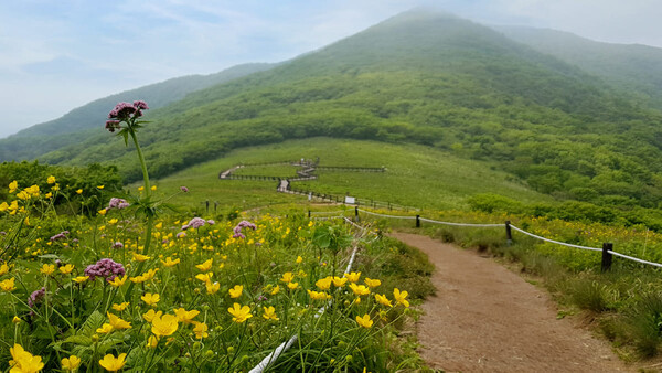 인제 / 사진=온라인 커뮤니티
