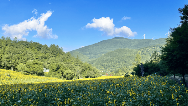여행톡톡