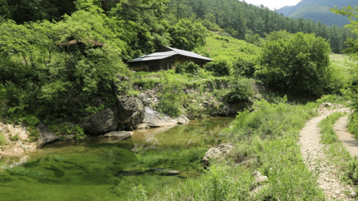 정선 덕산기계곡 / 사진=온라인 커뮤니티