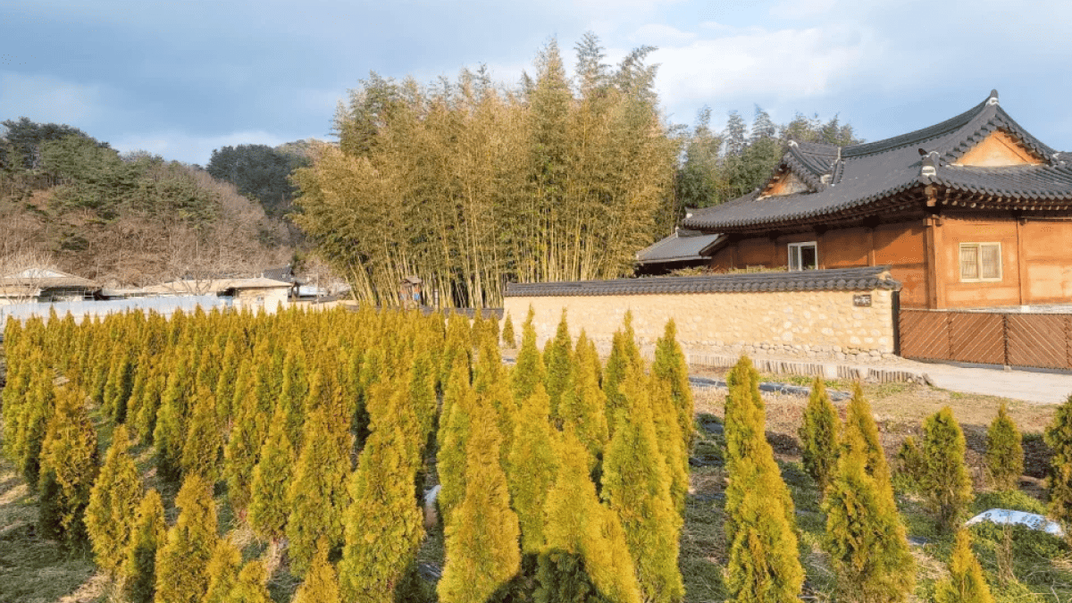 산청 남사예담촌 / 사진=온라인 커뮤니티