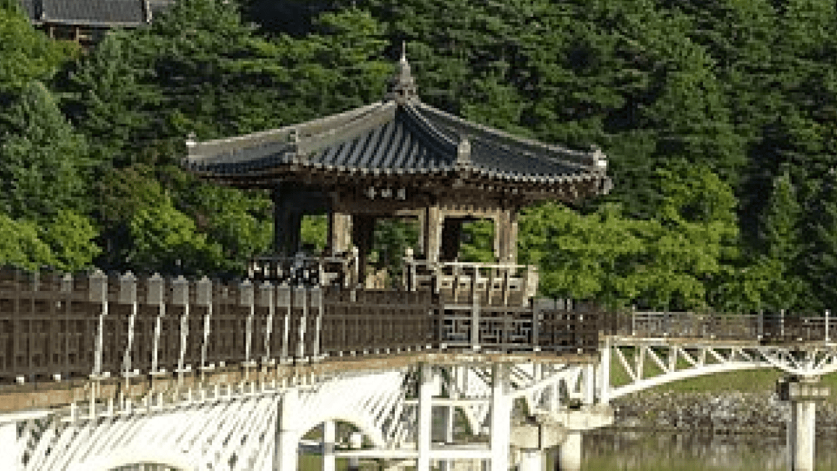 안동 월영교 / 사진=온라인 커뮤니티