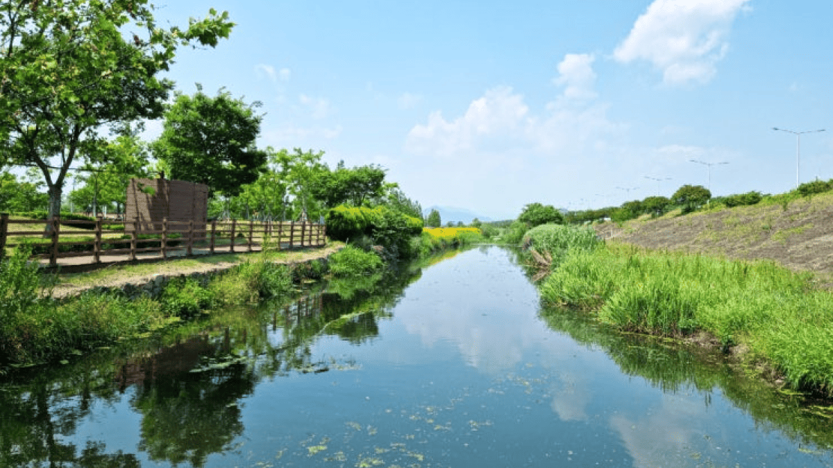 삼락생태공원 / 사진=온라인 커뮤니티