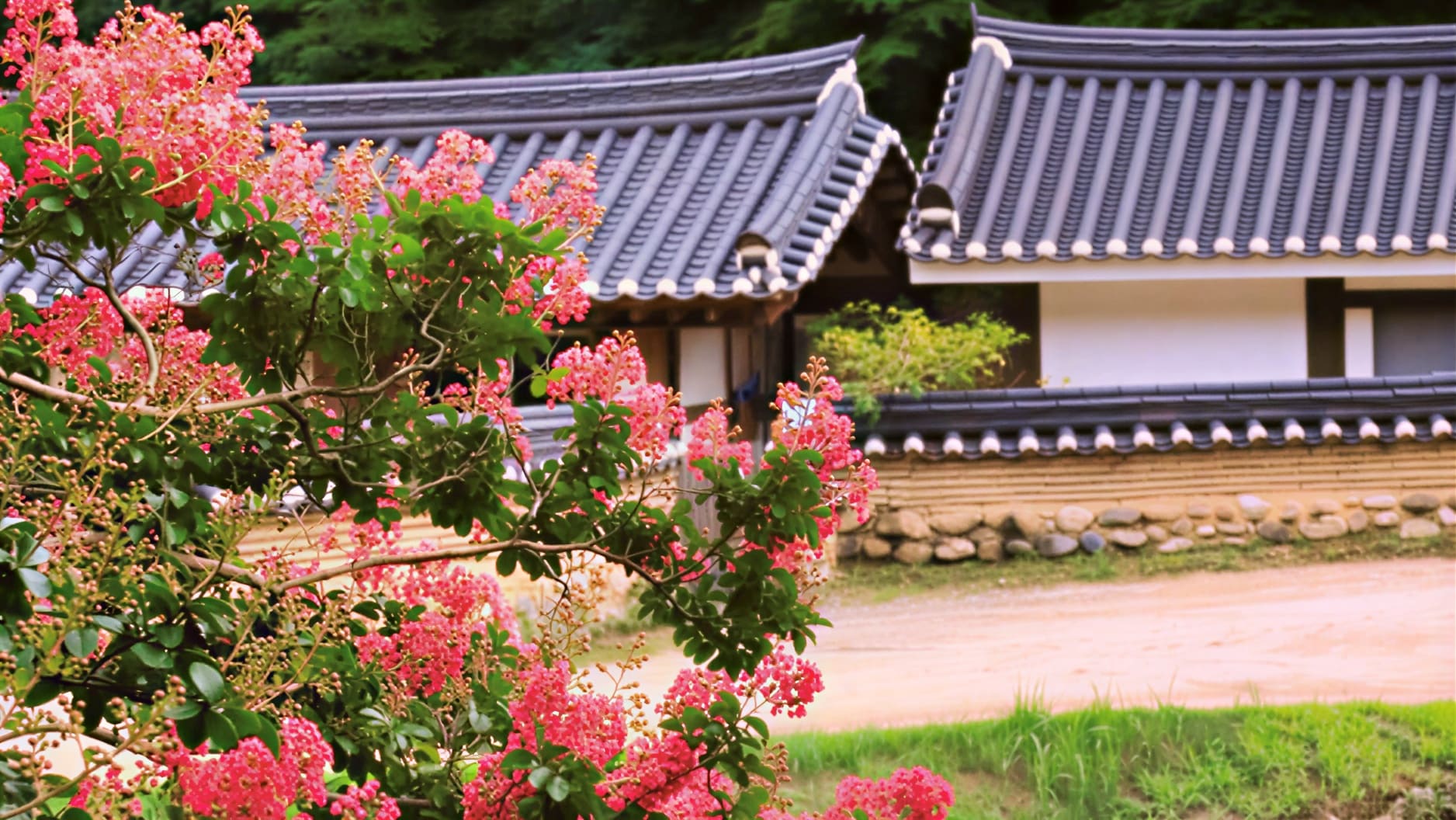 울진 불영사 / 사진=온라인 커뮤니티