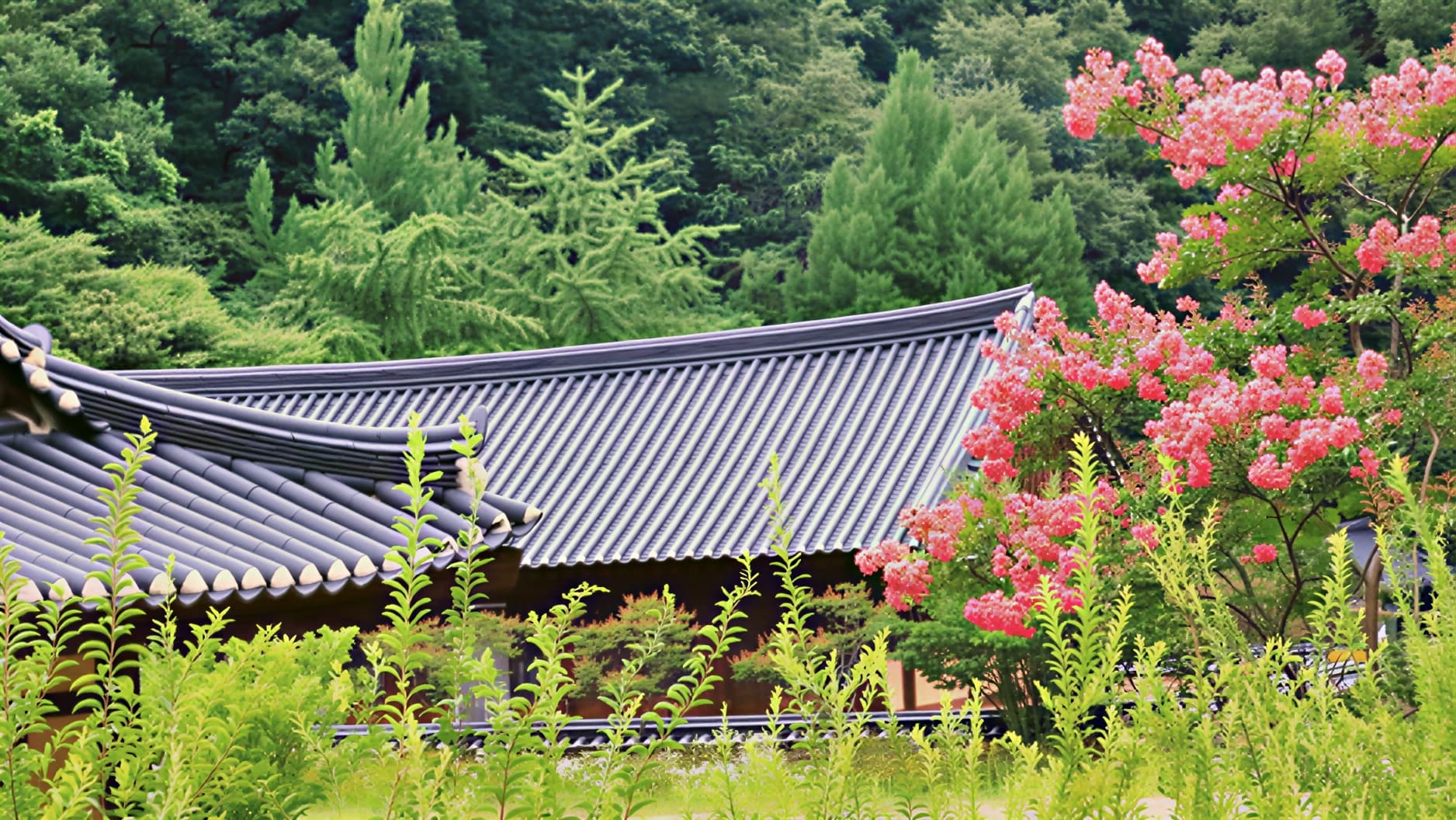 울진 불영사 / 사진=온라인 커뮤니티