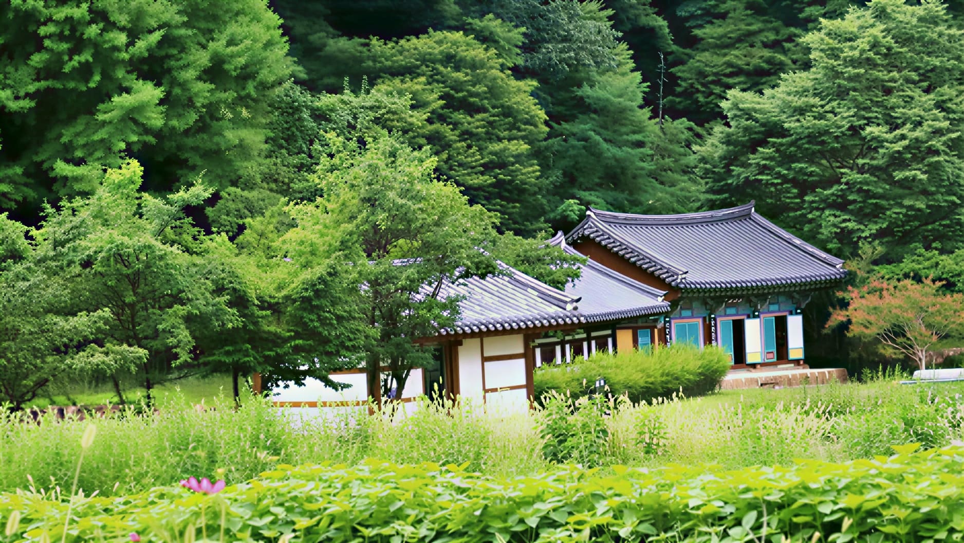 울진 불영사 / 사진=온라인 커뮤니티