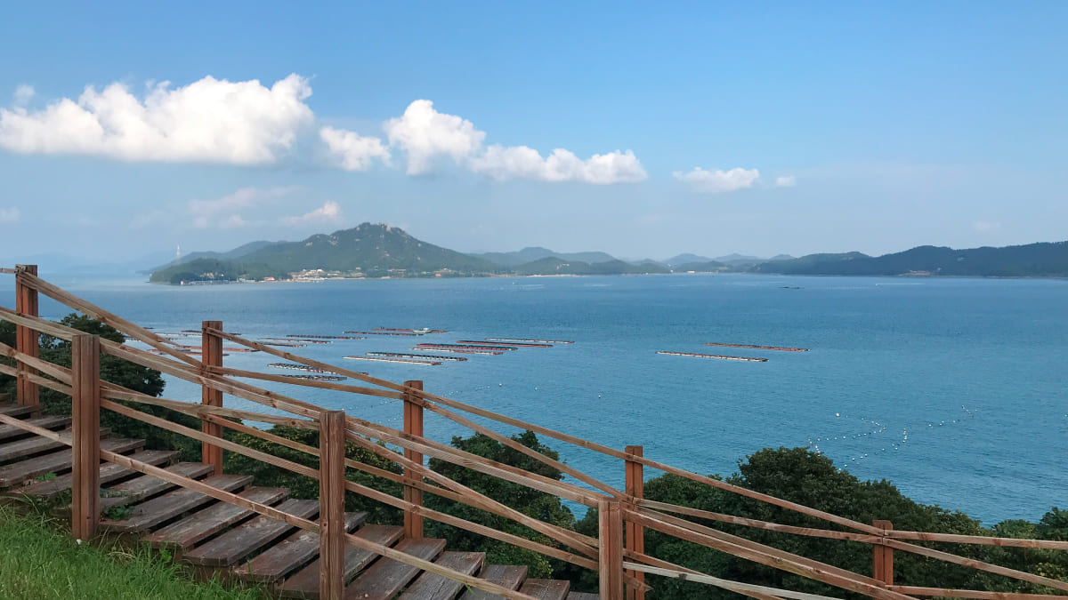 완도 명사십리해수욕장 / 사진=온라인 커뮤니티