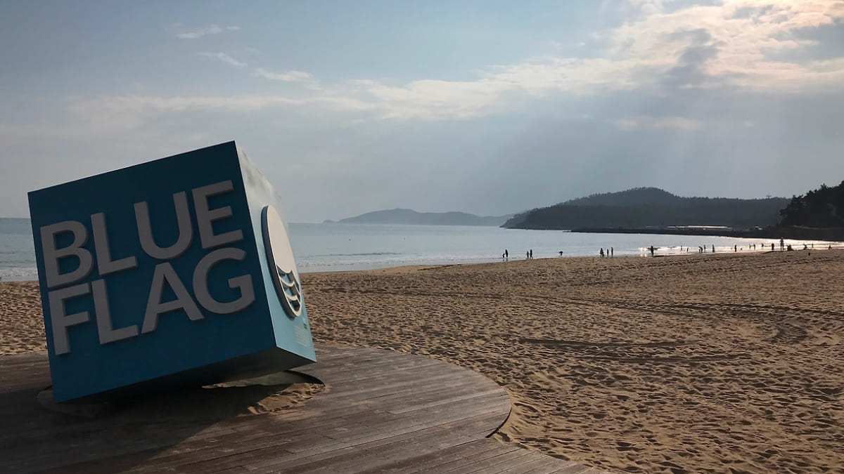 완도 명사십리해수욕장 / 사진=온라인 커뮤니티