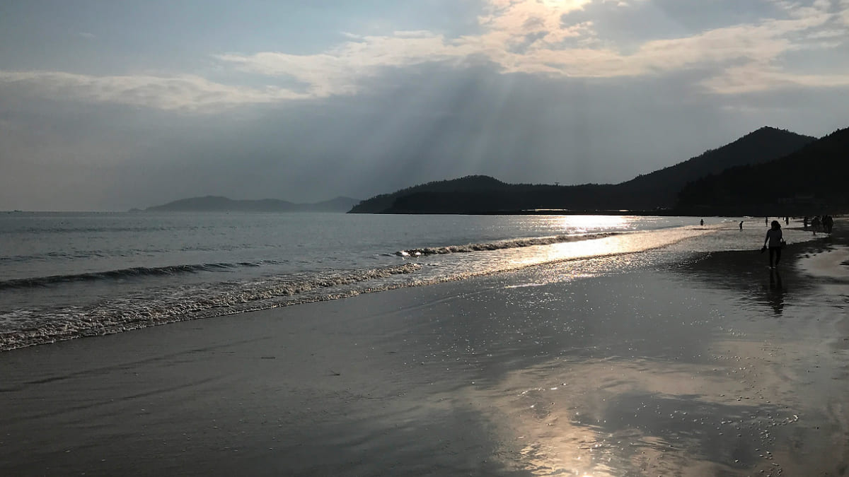 완도 명사십리해수욕장 / 사진=온라인 커뮤니티