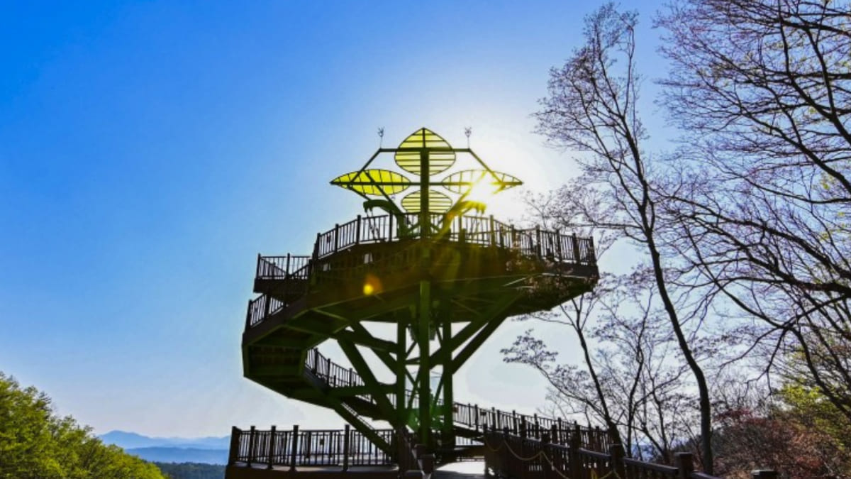 충북 보은 말티재 전망대 / 사진=온라인 커뮤니티