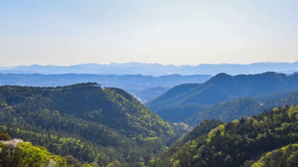 충북 보은 말티재 전망대 / 사진=온라인 커뮤니티
