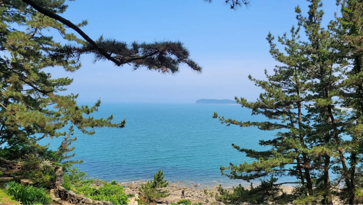 상화원 / 사진=온라인 커뮤니티