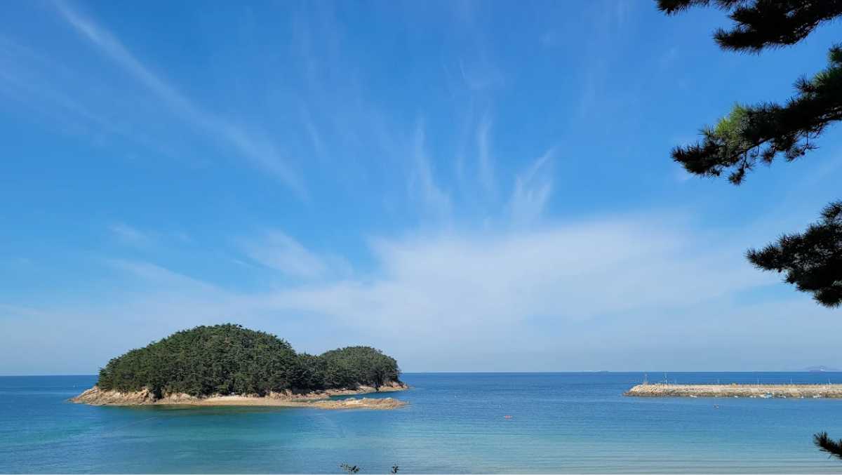 천리포수목원 / 사진=온라인 커뮤니티
