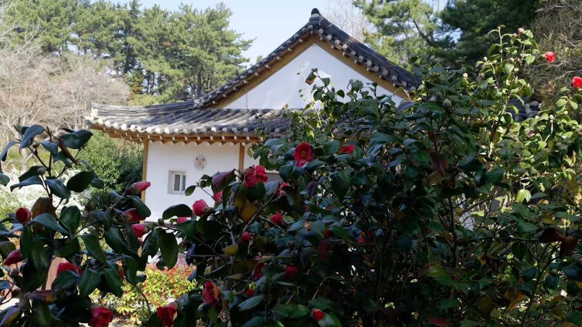 천리포수목원 / 사진=온라인 커뮤니티