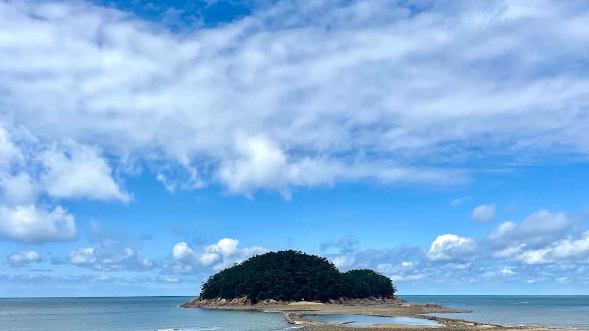 천리포수목원 / 사진=온라인 커뮤니티