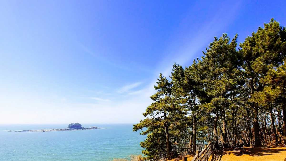 동백정 / 사진=온라인 커뮤니티