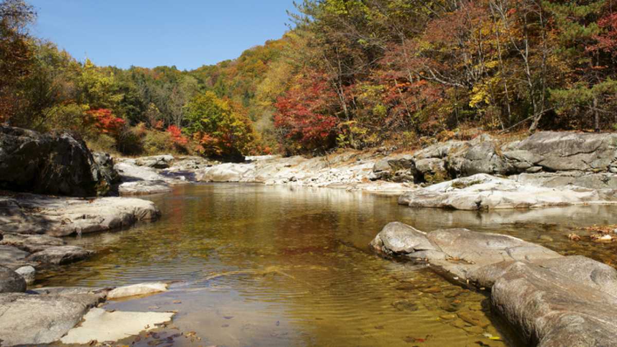 오대산 / 사진=온라인 커뮤니티