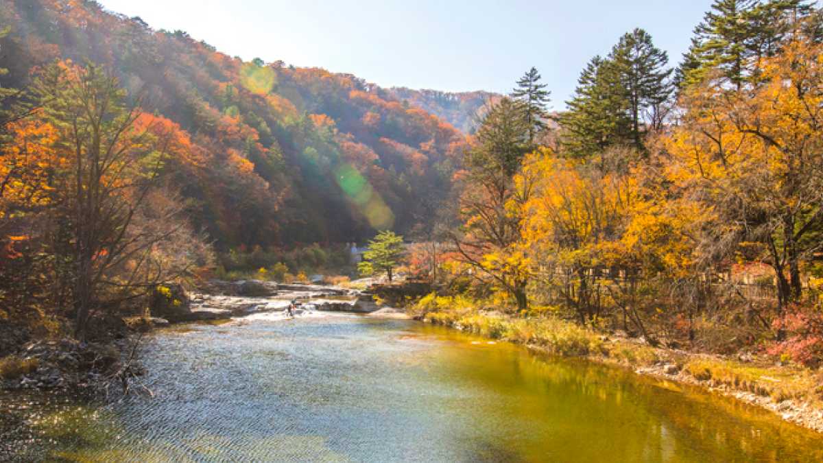 오대산 / 사진=온라인 커뮤니티